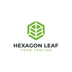 Hexagon Leaf, Eco, Garden, Botany, Nature Logo Design