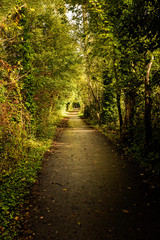 Obraz premium The towpath along the River Medway near Maidstone in Kent, taken in Autumn