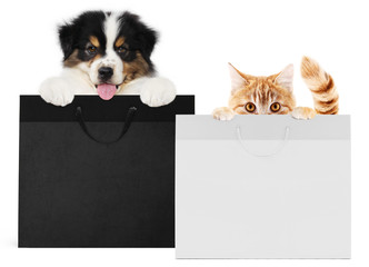 puppy dog and cat pets together showing  black and silver shopping bags isolated on white background blank template and copy space, black friday and cyber monday concept