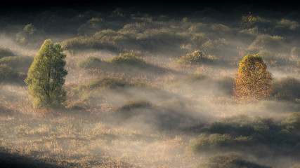 Awesome sunrise over foggy forest