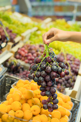 Female hand choosing grapes in the market. Concept of information eating products, organic fruit and vegetables. 