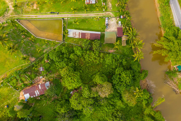 Aerial view of beautiful paddy field surrounding by small town at Penampang, Sabah, Borneo 