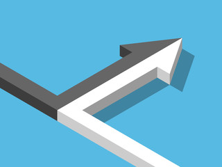 Isometric black, white merging
