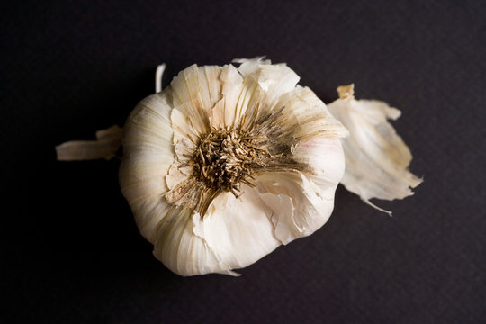 Close up of garlic