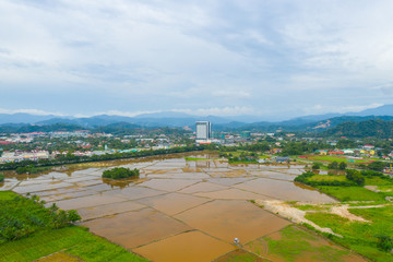 Aerial view of beautiful paddy field surrounding by small town at Penampang, Sabah, Borneo 
