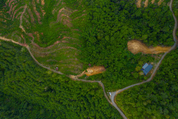 Top view of the the beautiful green rainforest of Sabah, Borneo