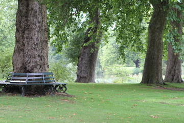 Obraz na płótnie Canvas empty bench in the park
