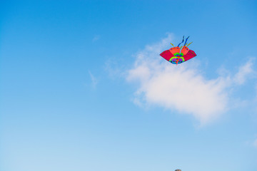 Kite