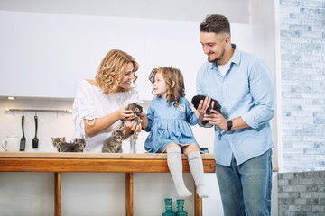 Family father, mother and sweet daughter happy together with little fluffy kittens in the kitchen in a bright home interior