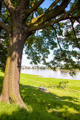 Dresden Übigau / Mickten - Elbwiesen 2009