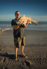 Fisherman holds a huge fish in the background of the sea. Black drum (Pogonias cromis)