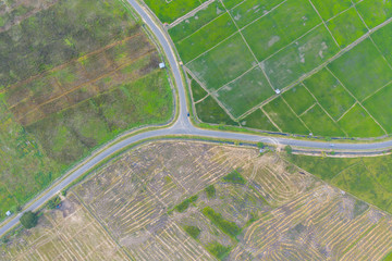 Aerial drone image of Beautiful Paddy village rice farm view at Kota Belud, Sabah, Borneo