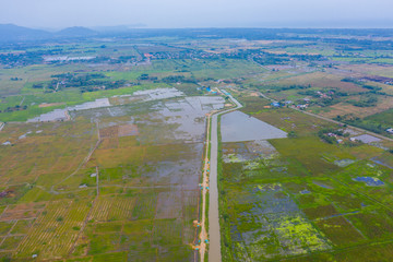 Aerial drone image of Beautiful Paddy village rice farm view at Kota Belud, Sabah, Borneo