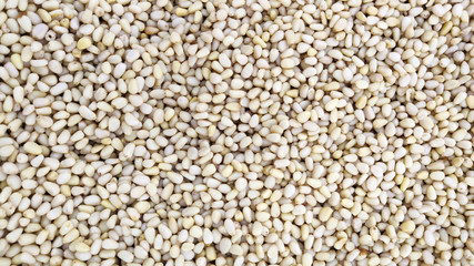 a lot of pine nuts lie close by. peeled nuts. snack. For design, market, article, print, recipe, cuisine, cocktail. background