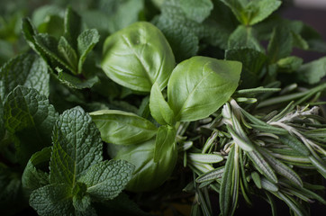  Fresh herbs. Basil, rosemary, thyme, mint, dill. - 300710697