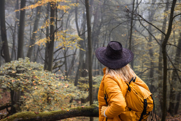 Fototapeta na wymiar Hiker with hat and backpack looking into misty forest