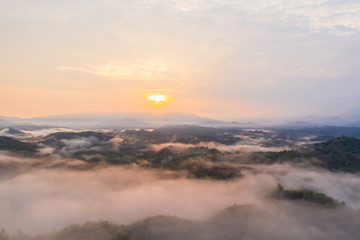Aerial drone image of beautiful tropical rainforest forest in Sabah  Borneo (image slightly soft focus and noise)