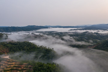 Aerial drone image of beautiful tropical rainforest forest in Sabah  Borneo (image slightly soft focus and noise)