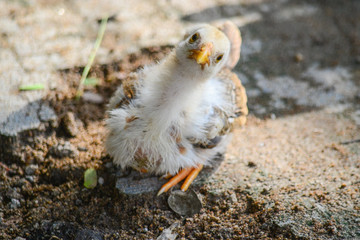 Confused Staring.... 