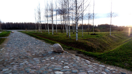 railway in the forest
