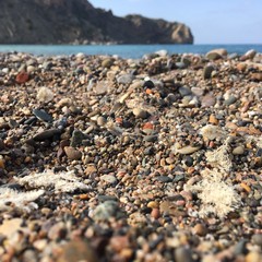 Plage Tlemcen