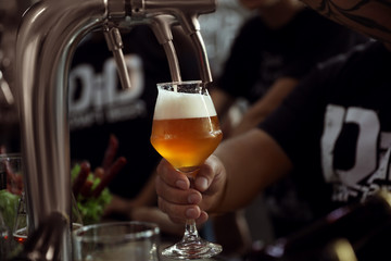 Fototapeta na wymiar Bartender pouring beer into glass in pub, closeup