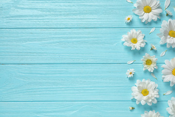 Beautiful chamomile flowers on light blue wooden background, flat lay. Space for text