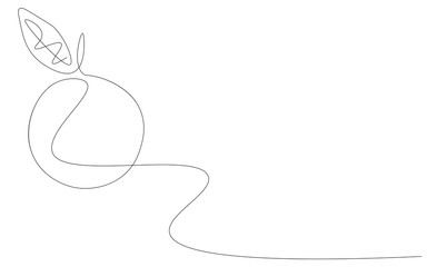  Orange background, fresh fruit vector illustration	