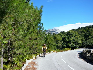 Corsica-cyclist near pass Col de Vergio