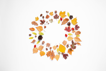 Frame made of autumn leaves on white background, top view. Space for text
