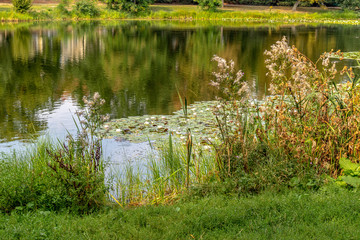Late summer views of parkland with ponds in Leipzig / Germany / Europe