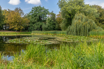 Late summer views of parkland with ponds in Leipzig / Germany / Europe