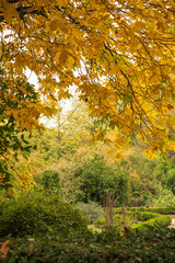 Autumnal landscape with green and yellow leaf trees in the botanical garden of Madrid, Spain, Europe