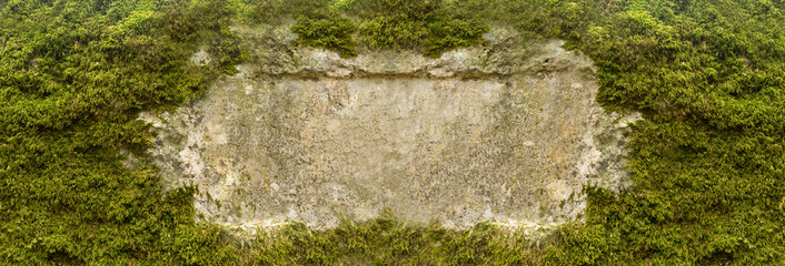 Rahmen aus Moos um Fläche aus Kalkstein