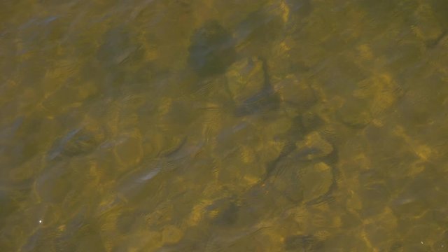 Small waves on the surface of the water, glare of the sun and stones at the bottom