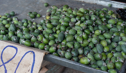 Feijoa on the counter for sale