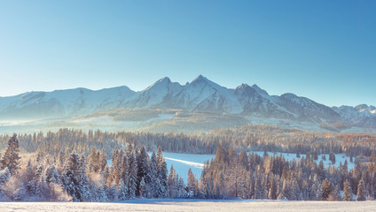 Tatra mountains in winter season, Zakopane, Poland. Snowy mountain range on clear sunny day - obrazy, fototapety, plakaty