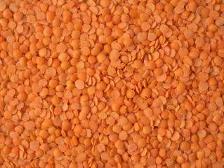 orange lentil beans seed texture background full wallpaper
