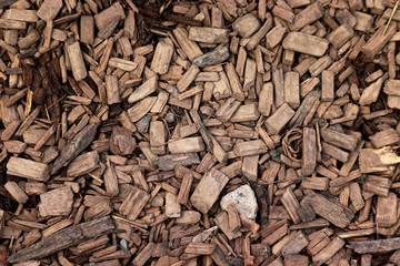 Wood flinders texture. The pieces are laying randomly. Can be used for a background.