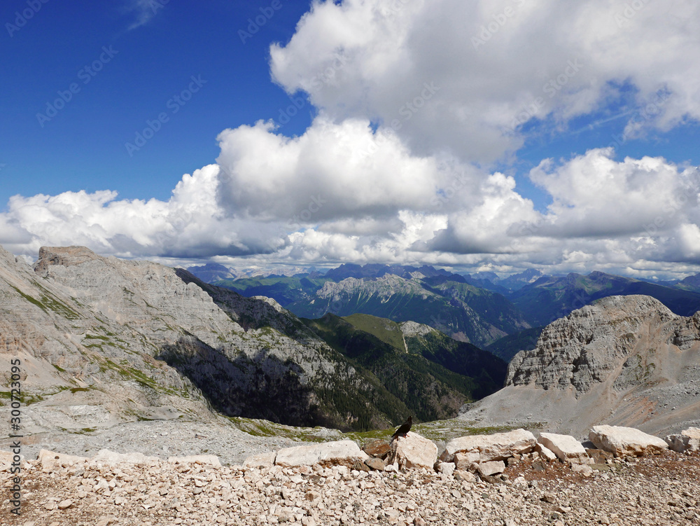 Wall mural le belle cime dolomitiche italiane, tra rocce e verdi vallate