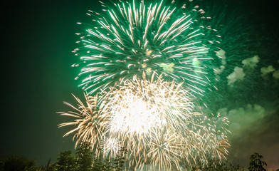 Obraz premium Fireworks on the City Day in Voronezh