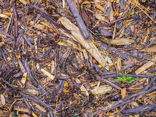wet mulch