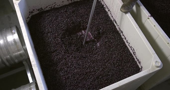 Overhead View Plastic Vat Full Of Grapes Being Crushed And Stirred With Metal Plate During Wine Making Process. Slow Motion 4K, Recorded At 60fps