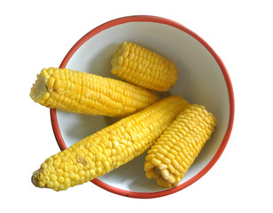 fresh corn on the cob