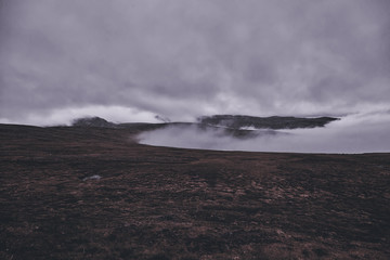 Thick fog on the ground, dark gloomy mood.
