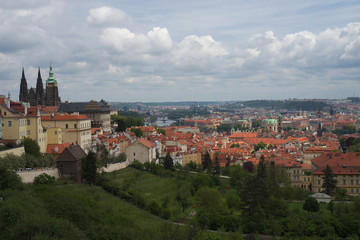 Fototapeta na wymiar Prague, la cathédrale Saint-Guy domine la ville