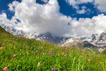 Beautiful summer mountain landscape, high peaks, green grass, blooming flowers and blue sky. - 300728843