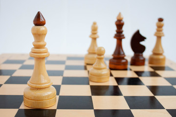 chess pieces on the Board king Queen rook knight closeup