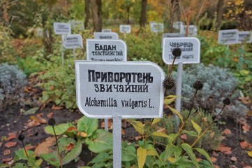 Plates next to growing medicinal plants in Ukrainian and Lanin languages in the national museum-estate of Mikhail Pirogov.