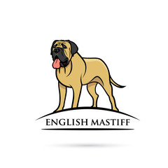 English mastiff dog - isolated vector illustration - obrazy, fototapety, plakaty